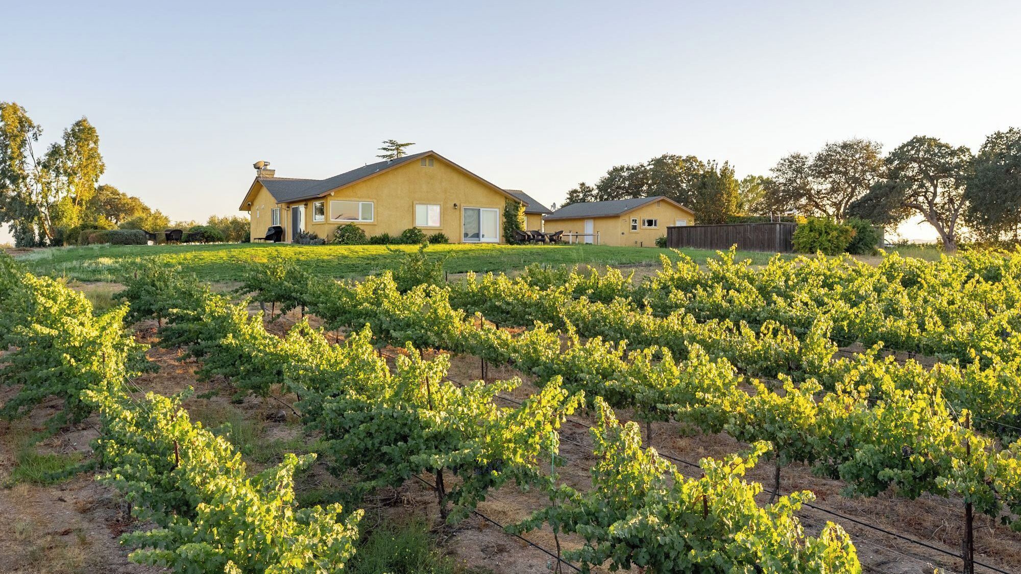 A house with a vineyard in the foreground.