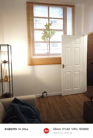 Una habitación con ventana, puerta, planta, estante con lámpara y sofá.