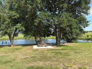 Un área de picnic junto al lago con columpios, mesa y bancos.