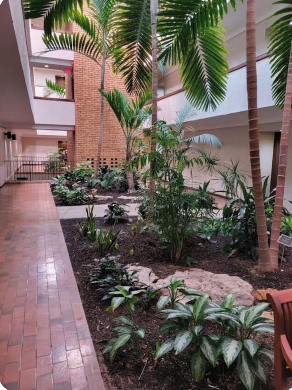 An indoor garden area with brick walls, palm trees, and various plants.