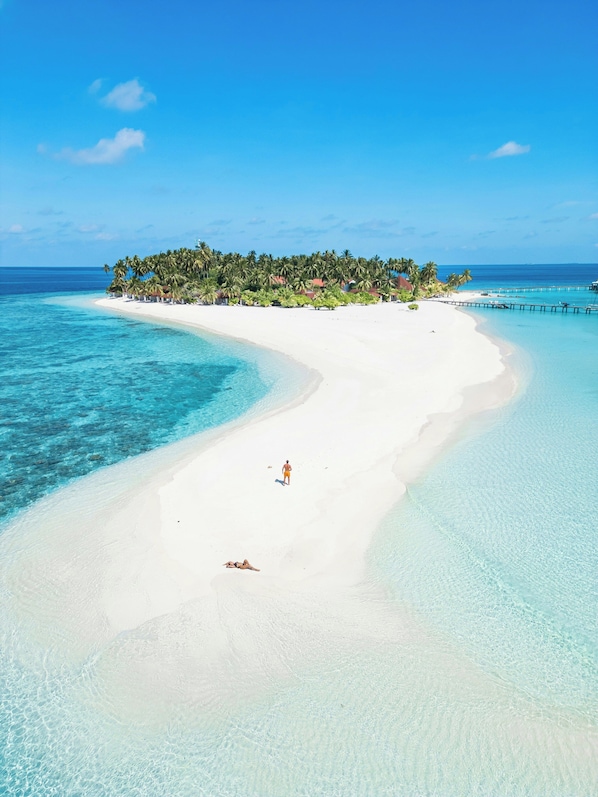 Beach - Diamonds Thudufushi Beach & Water Villas (Thudufushi Island)