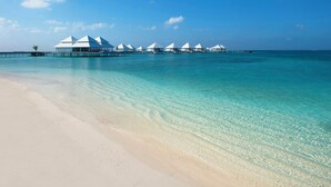 En strandresort med overvandingsbungalows forbundet af gangbroer.