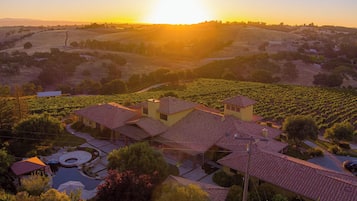 A vineyard estate with multiple buildings, a swimming pool, and a well-maintained garden.