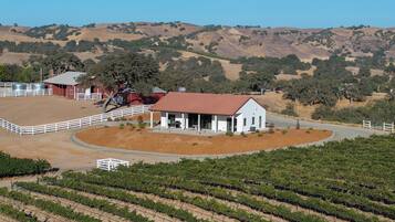 A vineyard with rows of grapevines, a white building with a red roof, and a fenced area with a white fence.