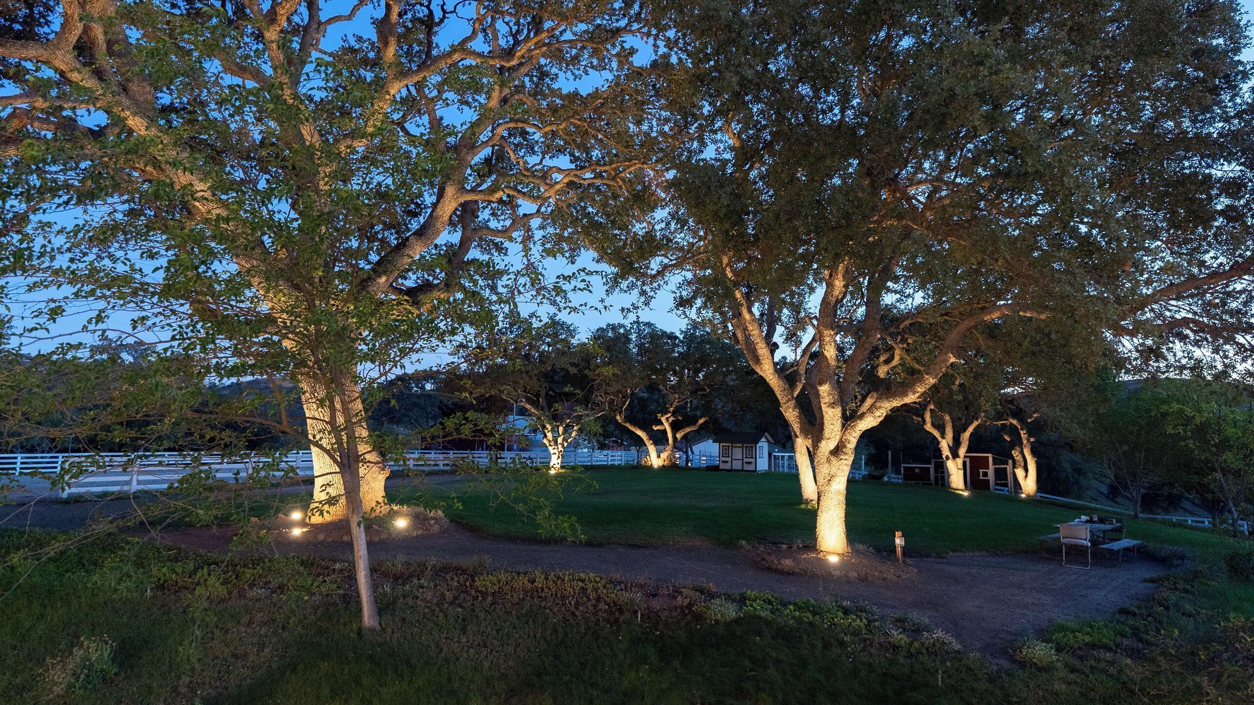A park with trees and a pathway.