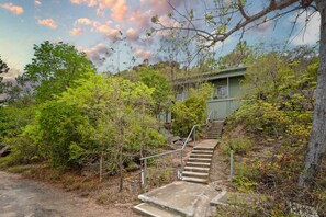 A staircase leading to a building surrounded by dense vegetation.