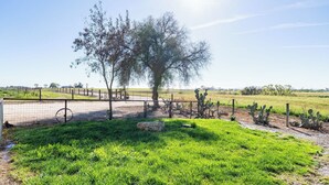 A fenced outdoor area with a tree, cactus plants, and a wheelbarrow. - Bella Vista Farmhouse by Avantstay River Views + Fire Pit + BBQ Paso Robles Wine Country (Paso Robles)
