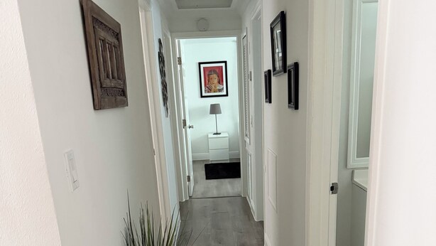 A hallway with white walls, wooden flooring, and a potted plant. - 2-bedroom house in lovely Sarasota with cool AC breeze (Sarasota)