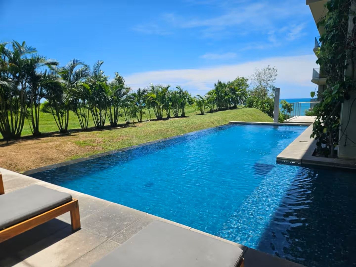 A swimming pool with a clear view of the ocean, surrounded by palm trees and a grassy area.