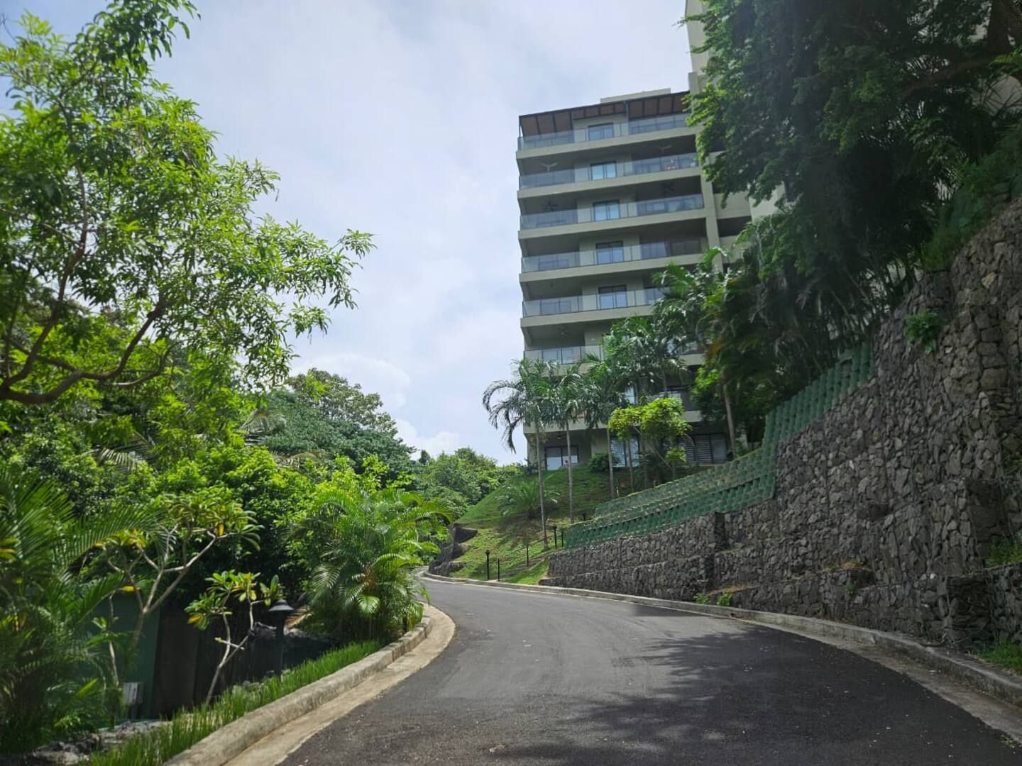 A curved road with a stone retaining wall on one side and lush greenery on the other. A multi-story building is visible in the background.