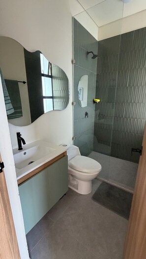 Regadera, toallas, papel de baño 
