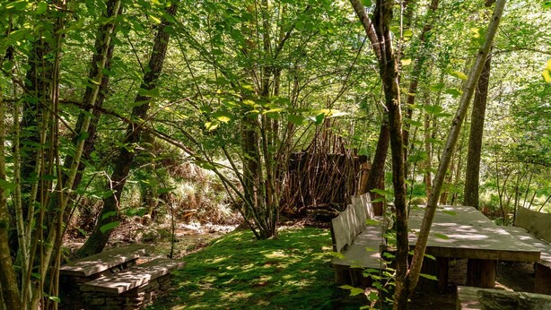 A forested area with a stone bench and a picnic table.