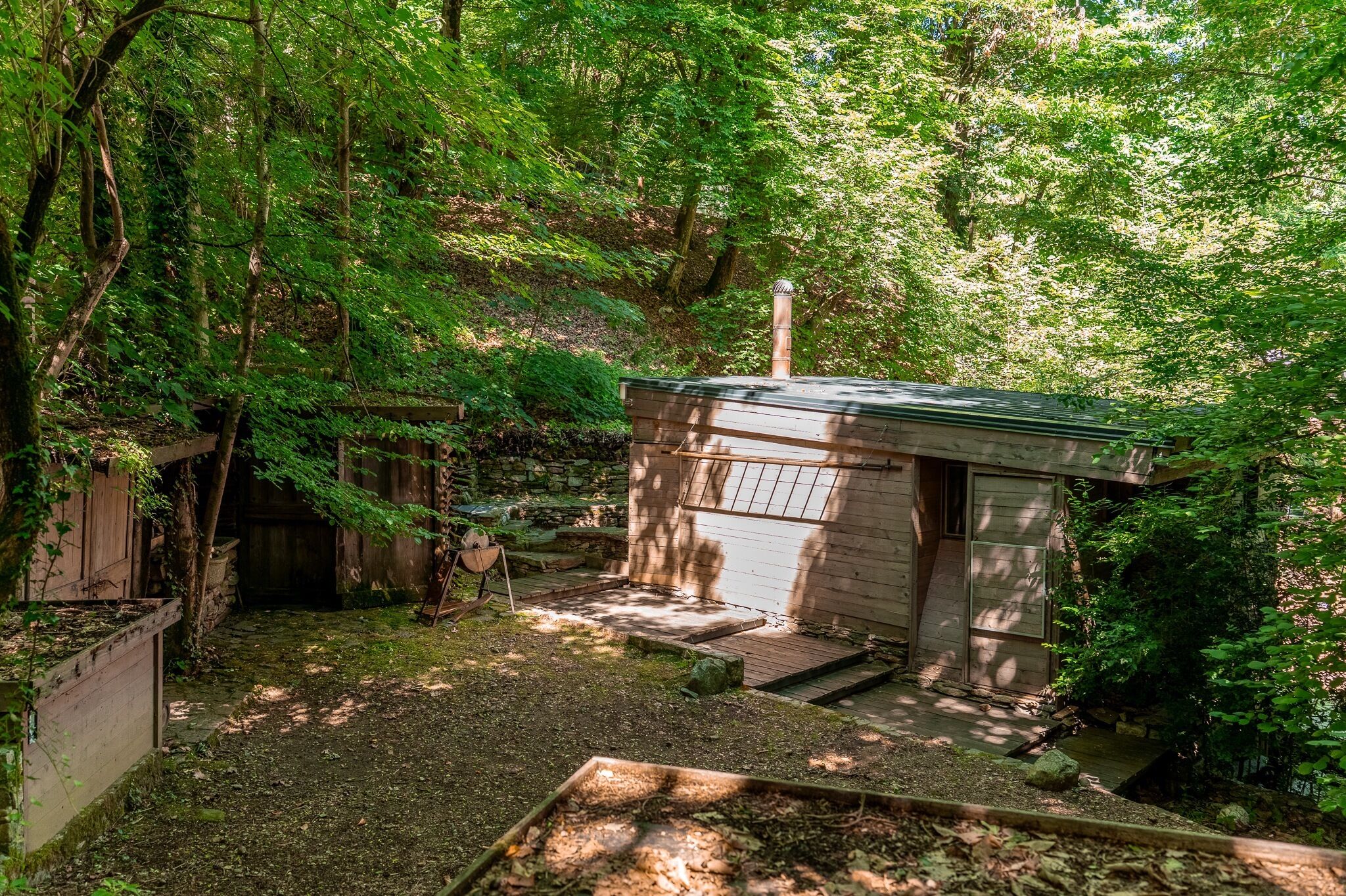 A small wooden cabin with a sloped roof, surrounded by dense green foliage.