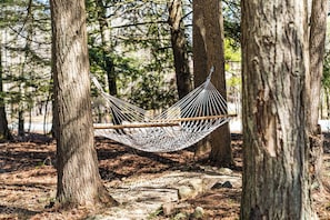 A hammock suspended between trees in a forested area. - Campfire Nights Start Here. Fireplace, Game Loft & Fall Adventures (Blakeslee)