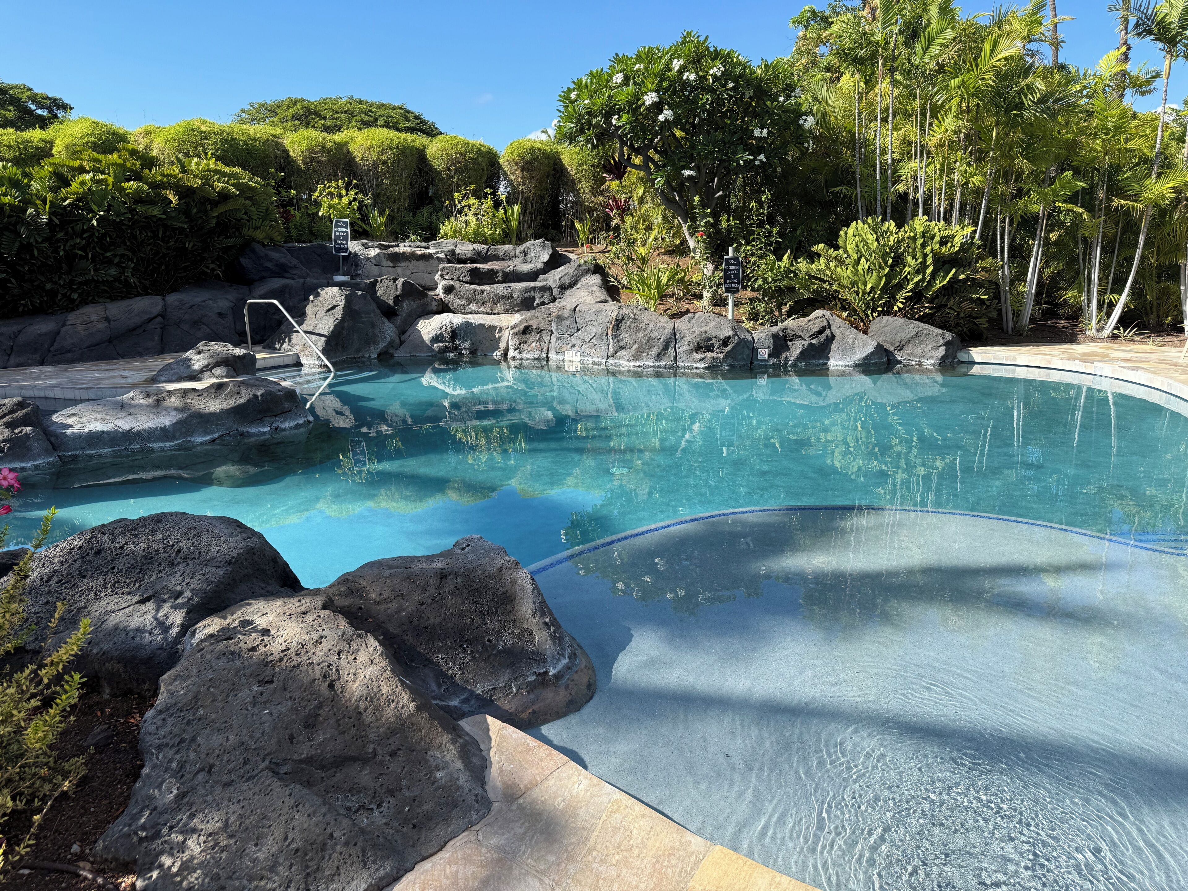 Una piscina cristalina con formaciones rocosas y vegetación tropical.