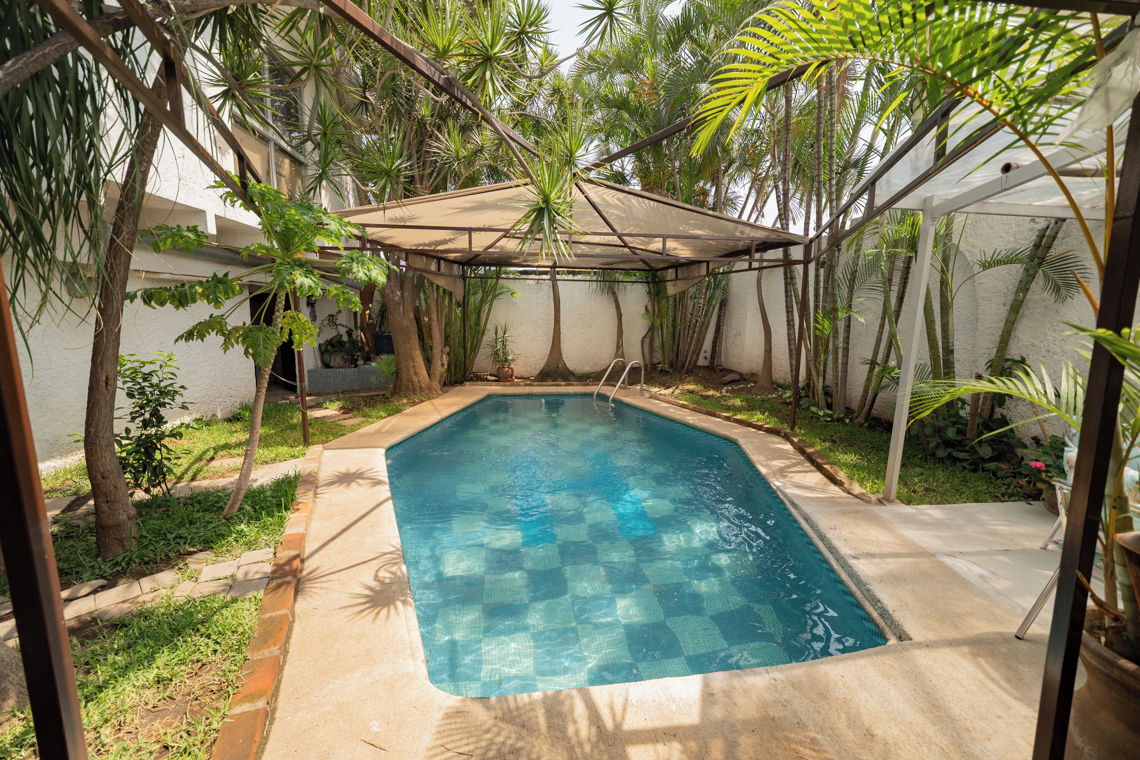 A rectangular swimming pool with a clear blue water surface, surrounded by lush tropical plants and a shaded area with a roof structure.