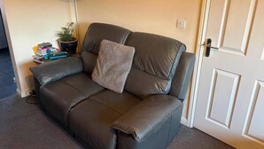 En mørkebrun lædersofa med en pude, en lille plante og en stak bøger på et sofabord.