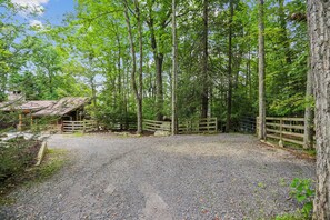 A gravel driveway leading to a wooden cabin with a metal gate, surrounded by tall trees. - Lakefront 4BR/3.5BA retreat with beautiful views (Oakland)