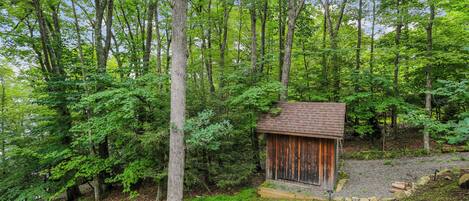 A rustic wooden cabin surrounded by dense forest.