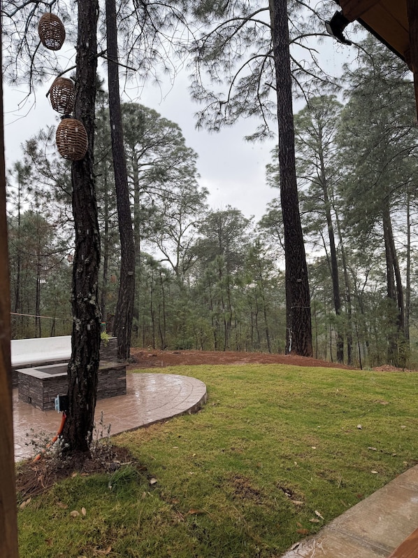 A circular outdoor seating area with a stone bench, surrounded by a grassy lawn and tall pine trees.