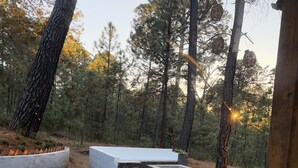 Un chemin de pierre mène à un espace de détente extérieur moderne, entouré d’arbres.