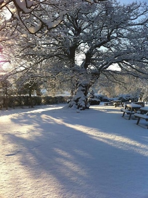A snow-covered park with a large tree and picnic tables. - The Kinmel and Kinspa (Abergele)