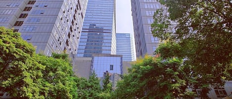 A high-rise building with a modern glass facade, surrounded by lush green trees and a clear sky.