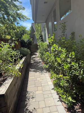 A paved pathway flanked by dense greenery and a wooden fence, leading to a building with a sloped roof. -  Los Gatos Cozy and Quiet gateway (Los Gatos)