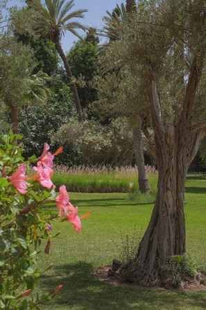 الإطلالة من المنشأة