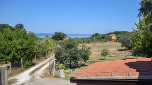 A rural landscape with a dirt path leading to a house with a red-tiled roof. - Gorgeous apartment in Viterbo with WiFi (Viterbo)