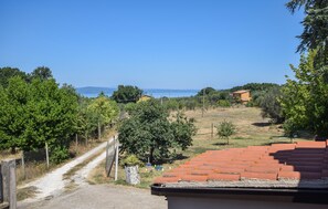 Ländliche Landschaft mit einem Feldweg, der zu einem Haus mit roten Ziegeldach führt.