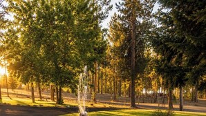 Ein Park mit einem zentralen Brunnen, umgeben von Gras und Bäumen.