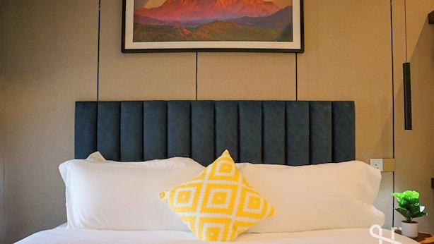 A hotel room with a bed, a headboard, a pillow, a wall-mounted painting, and a small potted plant. - The Sigar Hotel (Kota Kinabalu)
