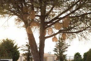A tree with hanging lanterns, a fence, and a building in the background. - Ananea Castelo Suites Algarve (Albufeira)