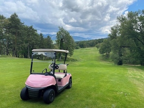 A golf cart on a well-maintained golf course with a clear sky and trees in the background.