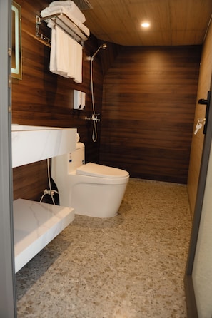 Ducha, secador de pelo, toallas, shampoo
