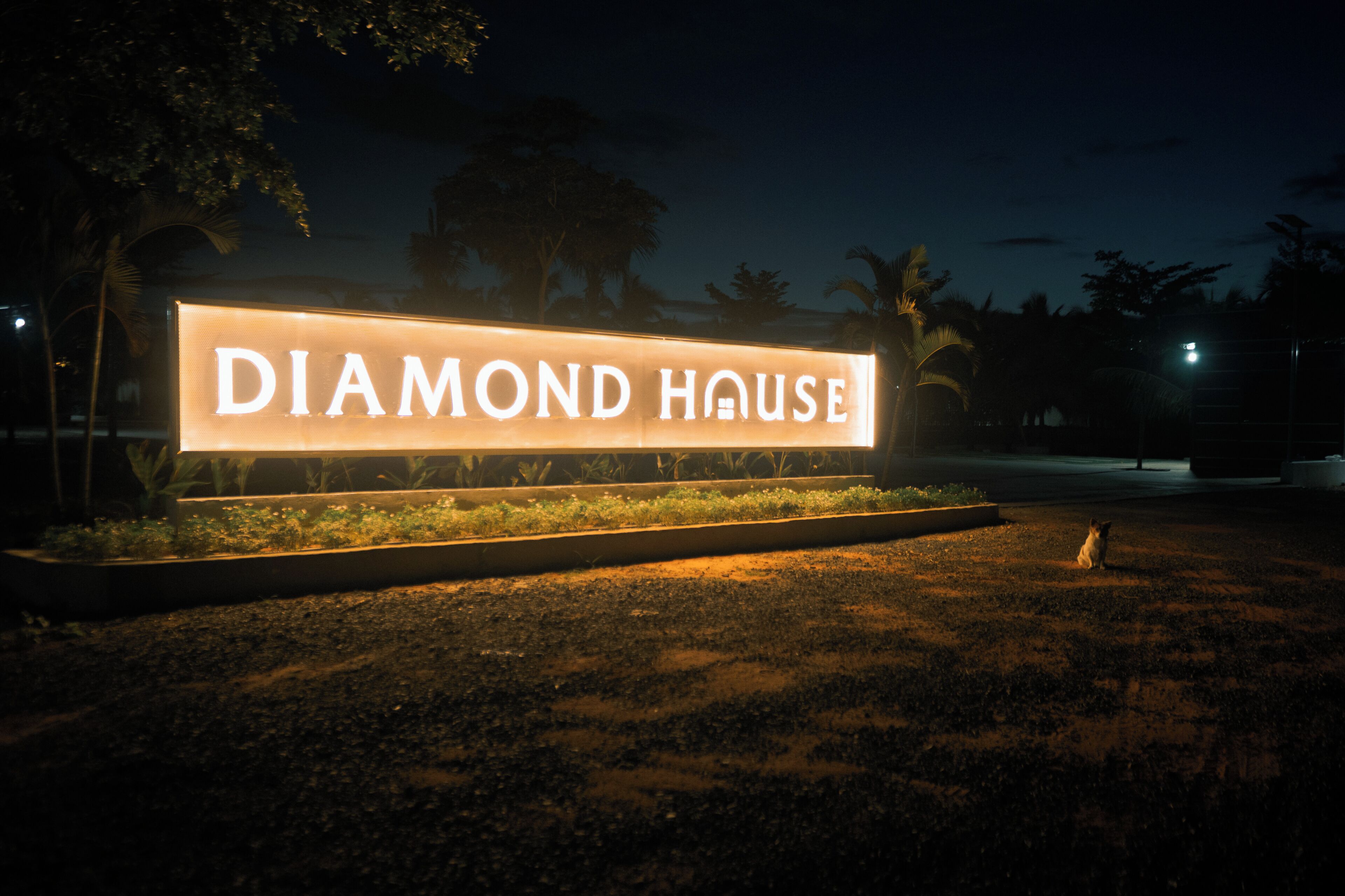 A lit sign reading 'DIAMOND HOUSE' with a landscaped area in front.