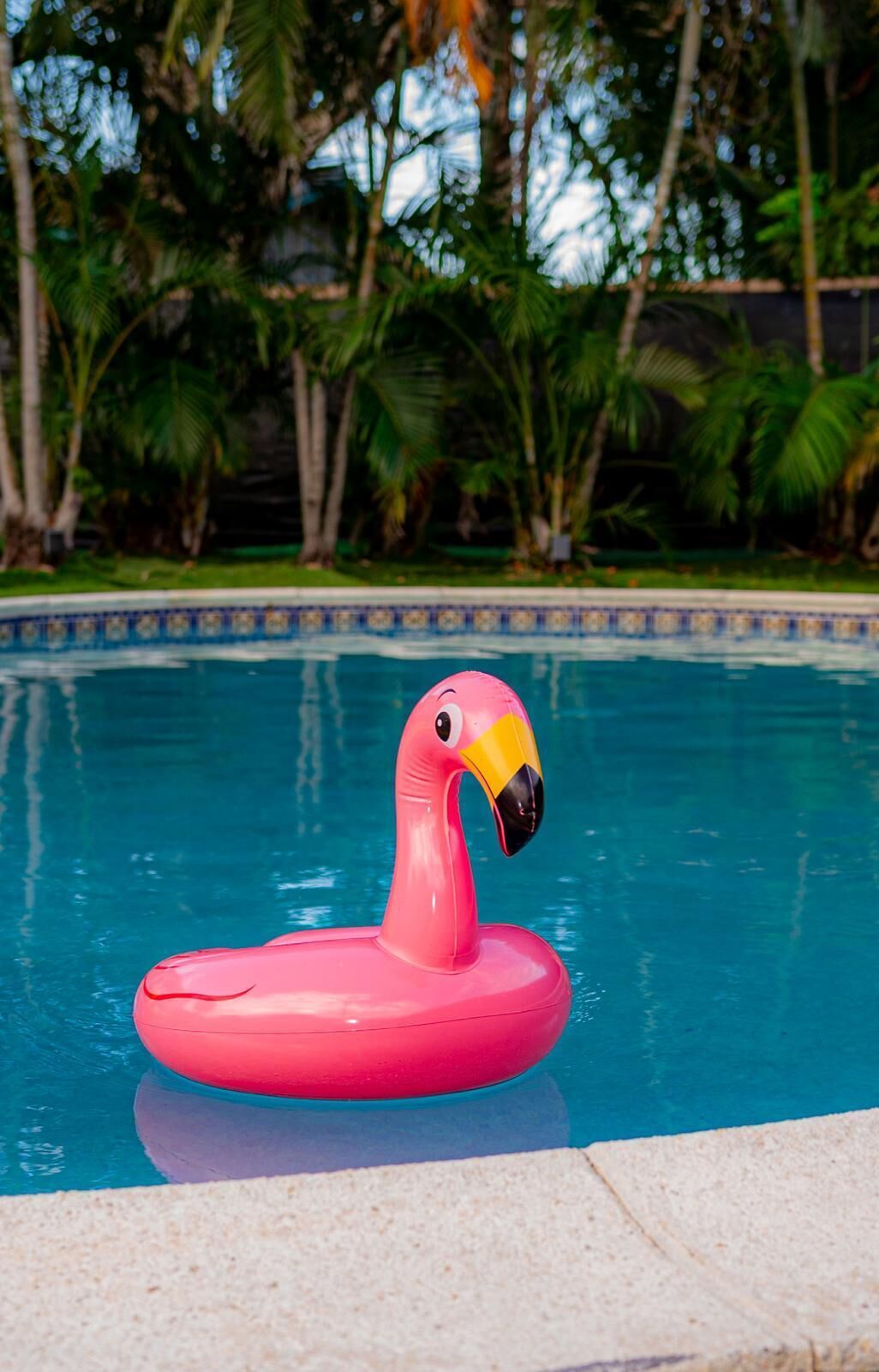 Ein pinkfarbener Flamingo-Schwimmreifen in einem Pool, umgeben von viel Grün.