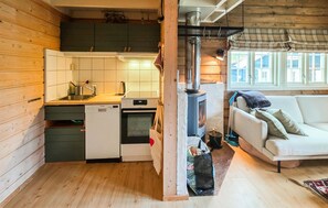Smart-TV, Kamin