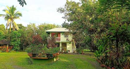 Fully furnished house, a café & pool in a forest!
