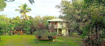 Fully furnished house, a café & pool in a forest!