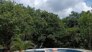 A curved swimming pool with tiled edges, surrounded by a paved walkway and lush greenery. - Fully furnished house, a café & pool in a forest! (Naujan)