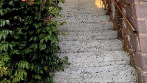 A staircase with stone railings and a hedge on the left. - Lassia Hotel (Lesvos)