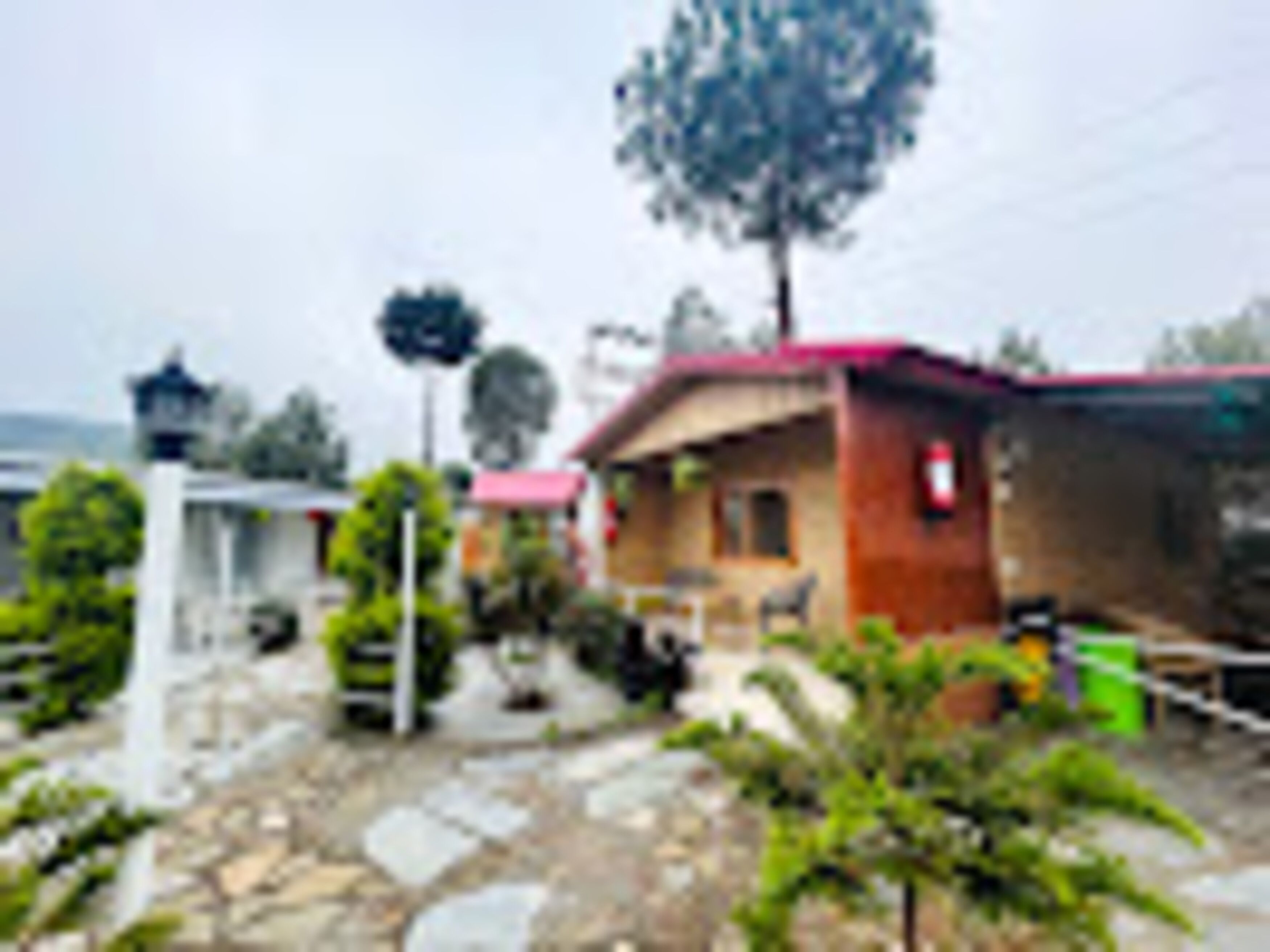 Un barrio residencial con una casa, un árbol y una farola.