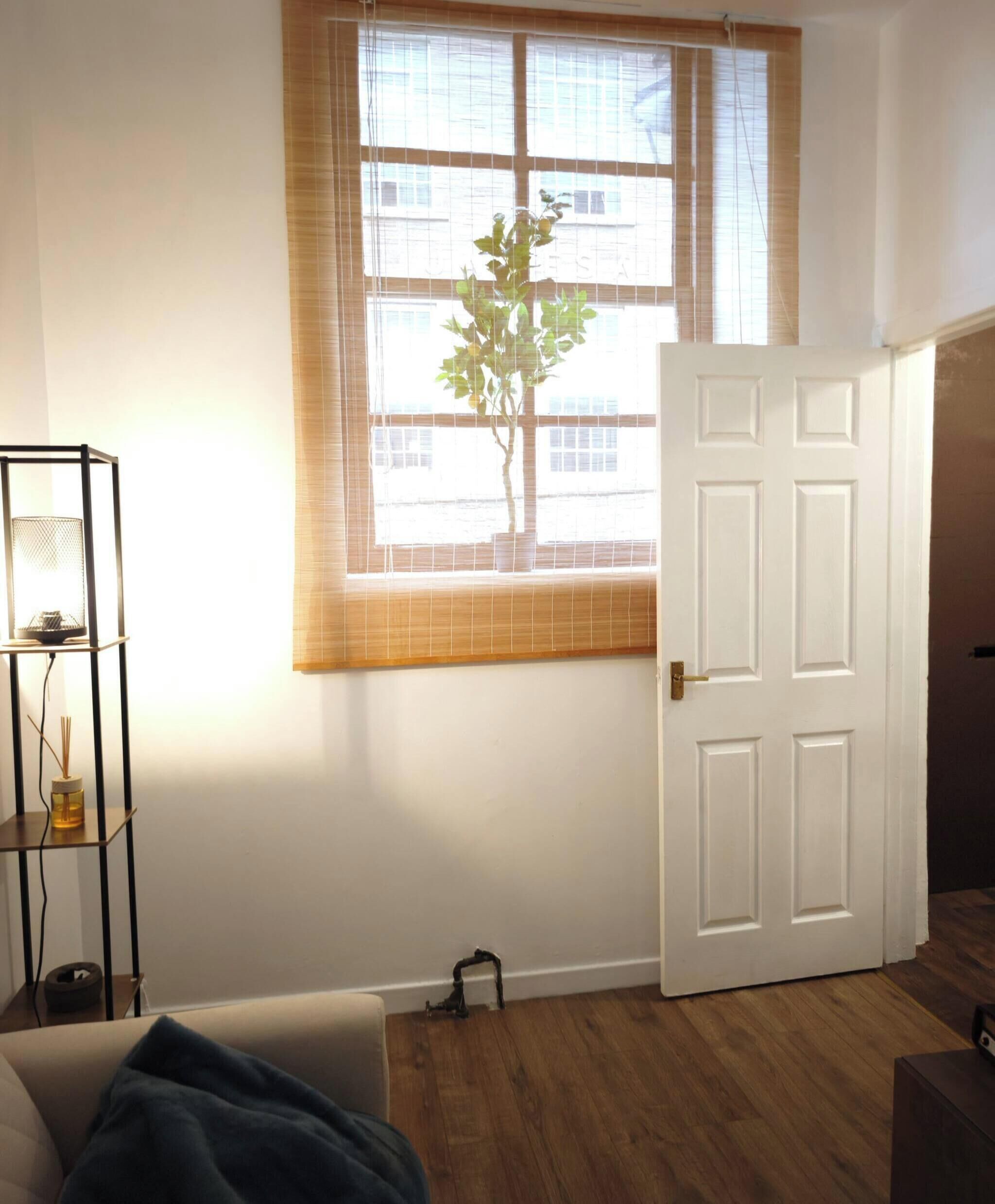 A room with a window, a door, a plant, a shelf with a lamp, and a sofa.