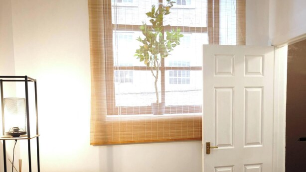 A room with a window, a door, a plant, a shelf with a lamp, and a sofa. - Pinewood Cozy Apartment in Dundee (Dundee)