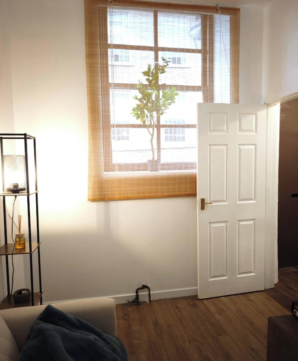 Une pièce avec une fenêtre, une porte, une plante, une étagère avec une lampe et un canapé.