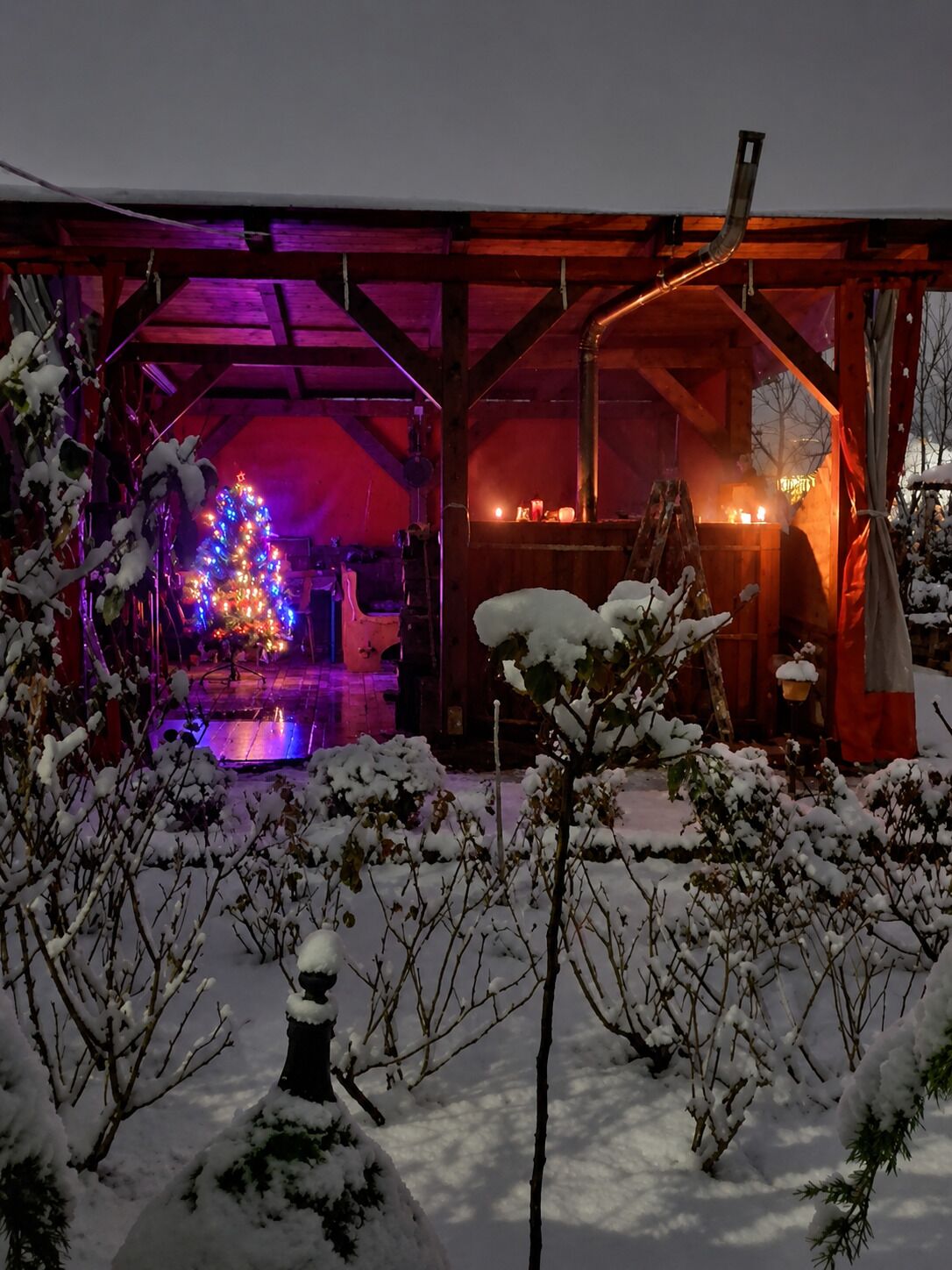 A snow-covered outdoor area with a wooden structure, a Christmas tree with lights, and a snow-covered bush.