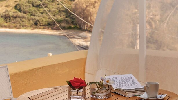 Une table avec un livre, une tasse et un vase de fleurs, donnant sur une plage et une forêt.