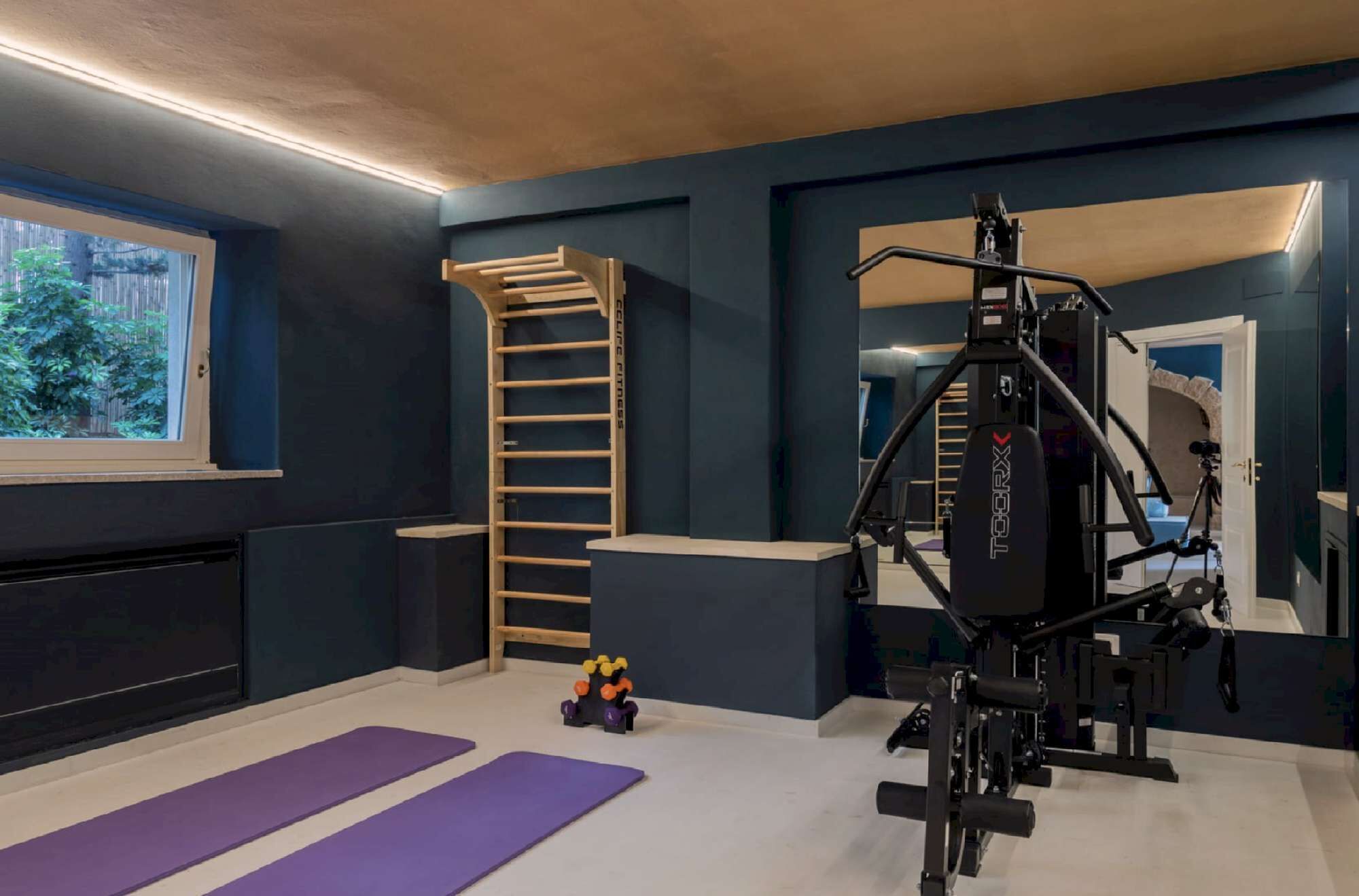 A home gym with a pull-up bar, exercise equipment, and yoga mats.